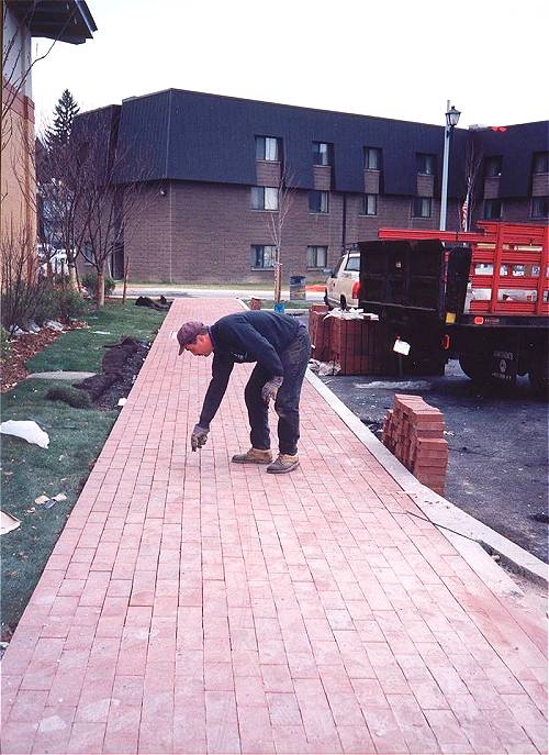 [Photograph from the Library Construction Site]