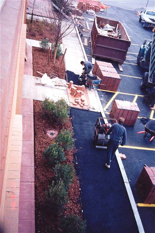 [Photograph from the Library Construction Site]