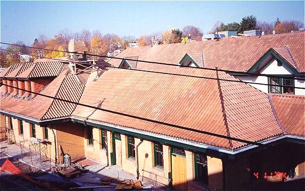 [Photograph from the Library Construction Site]