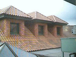 Roof