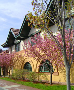 Front of Library, Springtime