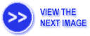 [View the Next Image]